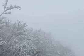 南宁大明山景区出现冰凌雾凇景观，游客可自驾入园图片