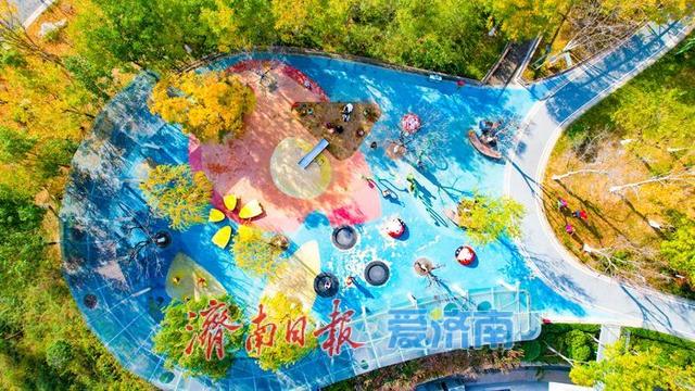 一年四季 泉在济南丨落叶铺锦景如画 济南望岳康体公园初冬限定美景上线