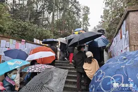 下着雨的万松书院相亲角人气依旧旺，有人天不亮就赶来图片