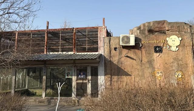 3.0时代开启！临沂动植物园焕新重塑，打造城市生态新地标