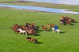 有中国公民在蒙古骑马落水溺亡，中使馆提醒游客注意安全图片