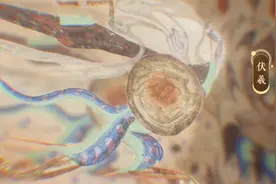 一组创意短视频带你沉浸式体验莫高窟图片