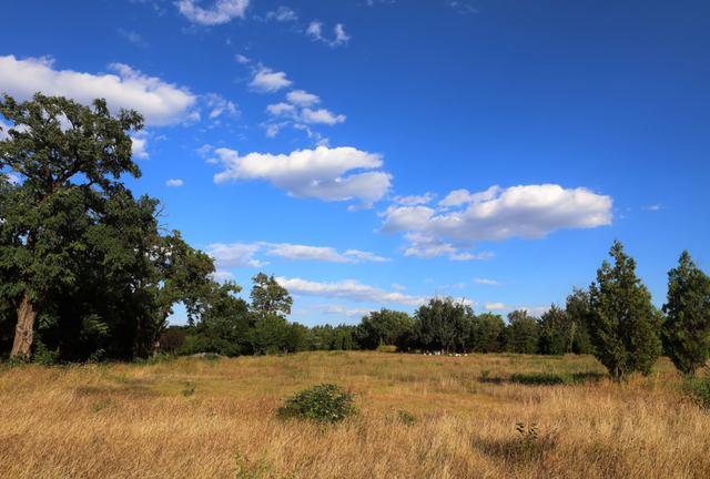 再见十月的圆明园！在时光褶皱里寻秋日诗韵。