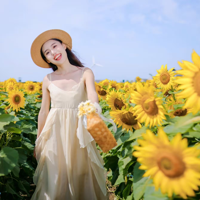 多彩京秋各区巡游 | 房山探索“花卉+商圈” 龙湖天街向日葵花海带来秋季仪式感