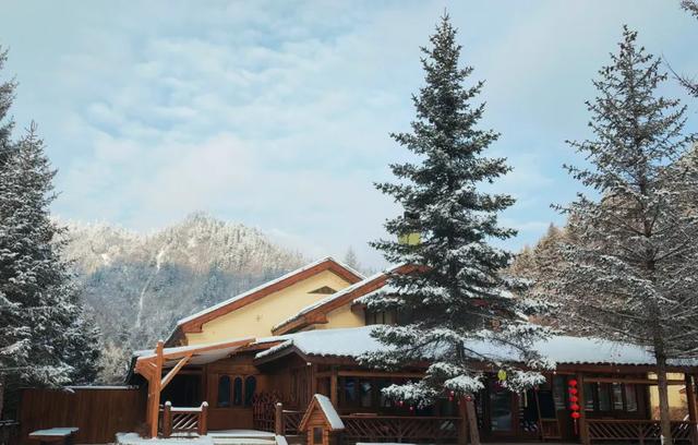 青睐绵阳 ‖ 彩林未尽,大雪已至!初冬的平武美成水墨画卷~