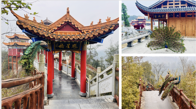 丹霞歌未歇，云海觅知音：湘西州原创歌曲展演邀约