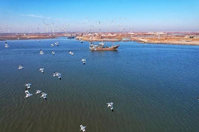 冬天，遇见不一样的潍坊！