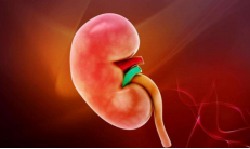 阴虚火旺可以吃花胶吗 2026年阴虚火旺可以吃花胶吗女性
