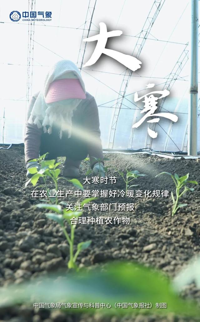 岁暮天寒 静候春归丨大美中国 气象万千