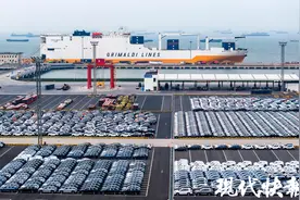 长江流域首条！苏州港开通至非洲滚集一体班轮航线图片