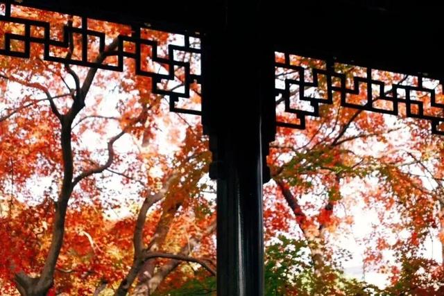 秋日特调！南京“西红柿炒蛋”皮肤已限时上线！