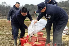 湖口县为北迁候鸟备足“口粮”图片