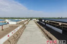 玉门：三产融合绘就乡村振兴新图景图片