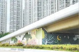 优化街道景观 展现文化特色图片