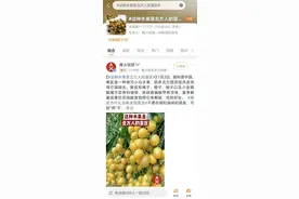 北方人的“盲区水果”，却是广东人最爱的“正气”果！现在吃正好！图片
