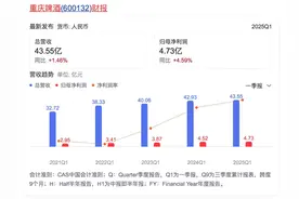 增长遇阻，重庆啤酒如何破局“高端化”图片