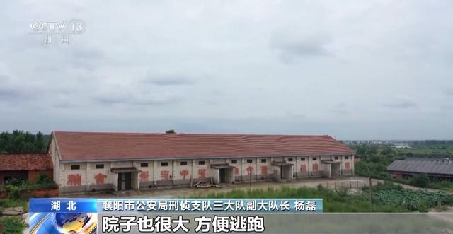 盗墓贼看小说学盗墓挖走20余件国宝