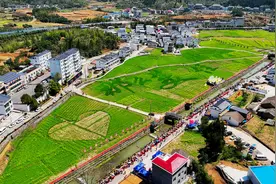 湖北通山：一站式乡村游“火出圈”图片