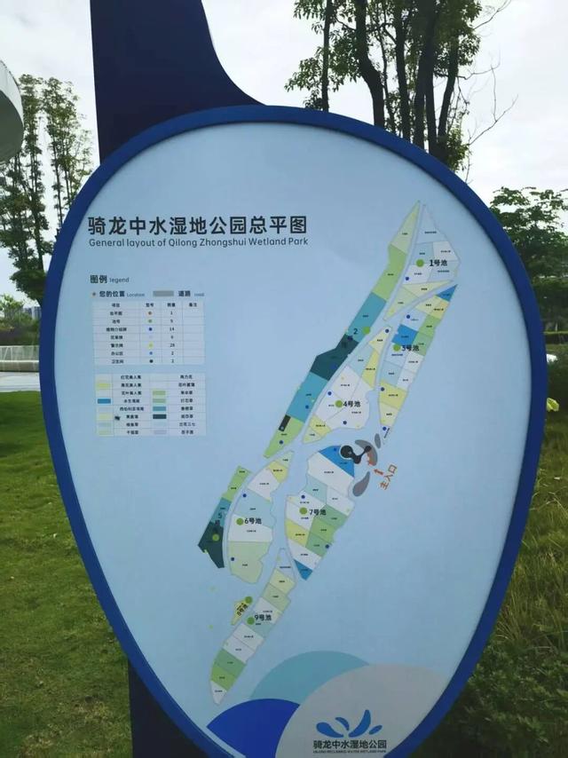 每天8.5万吨洗脚水冲厕水，竟都流向了这个网红公园？