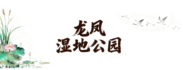 “十一”假期 电网人带你打卡最美龙江