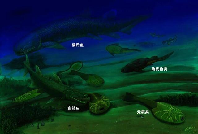 澜湄光影落曲靖，五张名片藏着这座城的“镜头语言” 一起来曲靖取景