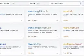 阿里云推出首个域名大模型应用 万网上线“.ai”等40个全新后缀图片