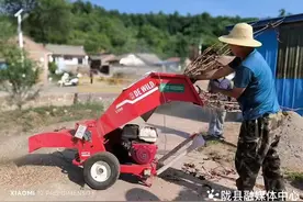 陇县新集川镇：废旧树枝再利用，从“生态包袱”到“绿色财富“图片