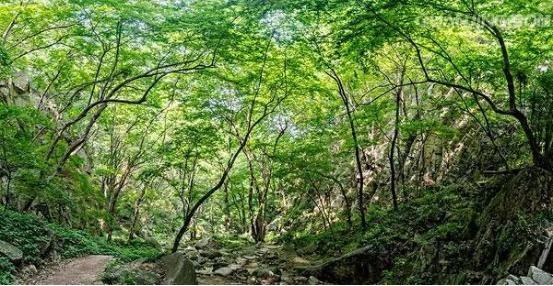 周末游西营主题线路：徒步探秘游