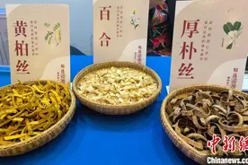 香港中医中药界访问团访湘 共促中医药产业发展图片