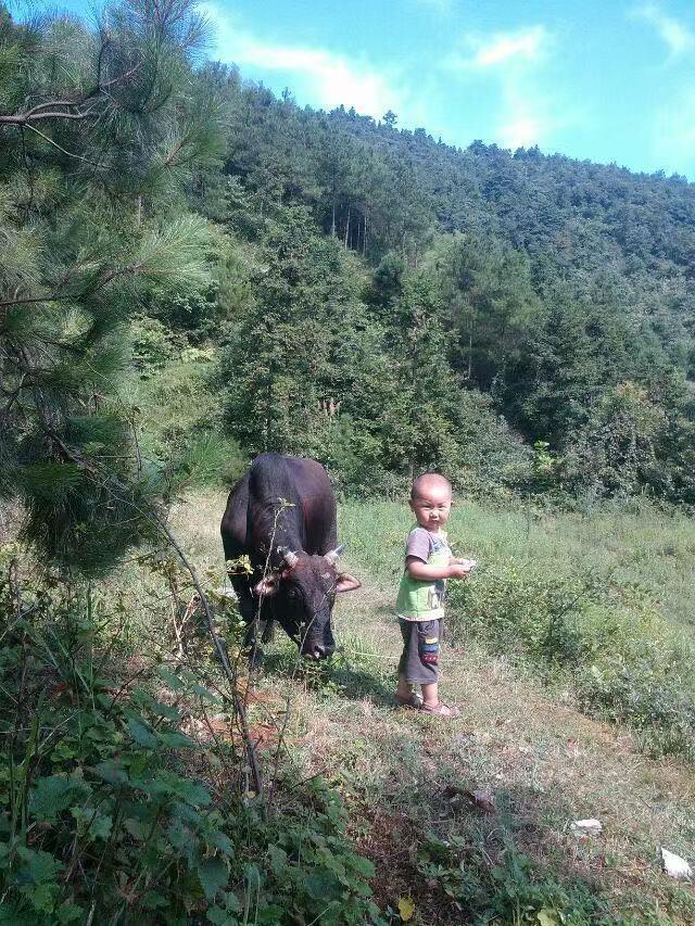 娄底14岁初中生作文看哭全网，得知爆火首先看恶评，回应用AI质疑：算是另一种夸奖