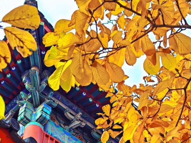 北京号最精彩 | 抢先看！安立路快速化改造工程最新进展