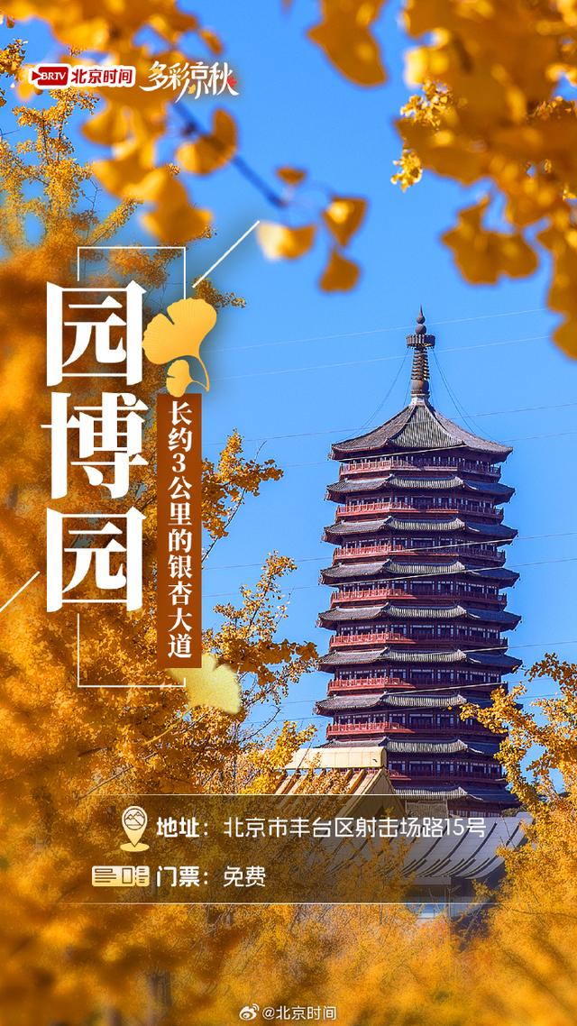 北京十大赏银杏好去处，这三处免费，您都去过吗？