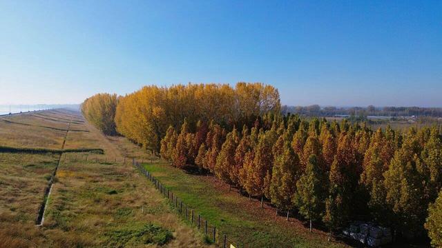 潍坊峡山：秋末冬初美景如画