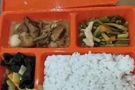 观澜亭丨预制菜进校园，为何如此受关注？图片