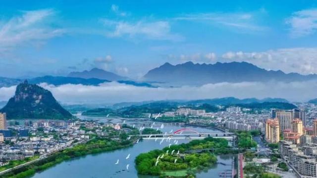 松阳“智慧引擎”锻造百亿工业集群