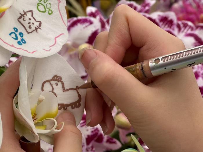 图记|花店女儿寒假作画,把年宵花画出新花样 - 图画吧TUHUABA