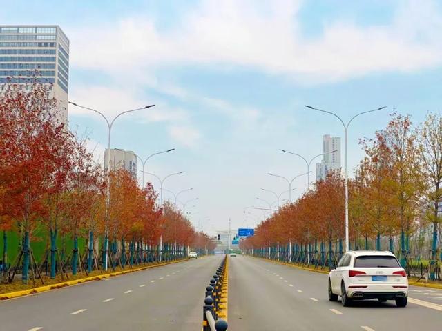 人少景美！洪山5处打卡地，周末约起