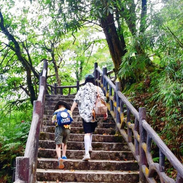 暑期遛娃总要去一趟瓦屋山吧！