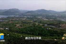 闪电调研走一线｜专访泗水县委书记：片区化、组团式打造乡村振兴示范区图片