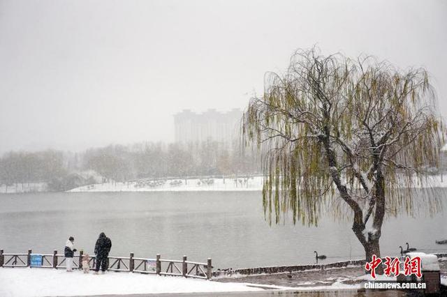 河北峰峰：初雪漫洒 冬色如画