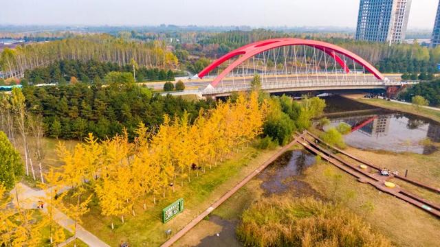 这里藏着最治愈的周末时光！