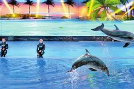 拥有200多种海洋生物 小梅沙海洋世界10月1日起试营业 来深圳怎能错过这场奇妙体验图片