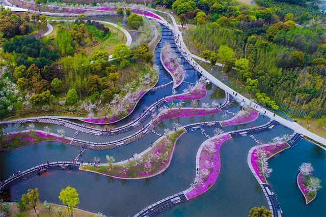 “绿水青山”圈粉各地游客 兰湖生态游受青睐