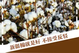 更“新”这一年丨一组海报速览这些新疆爆款好物图片