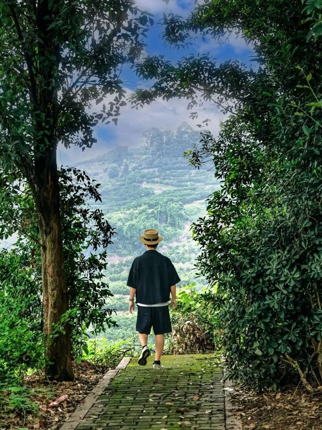 一起去爬山，给身体 “充电”