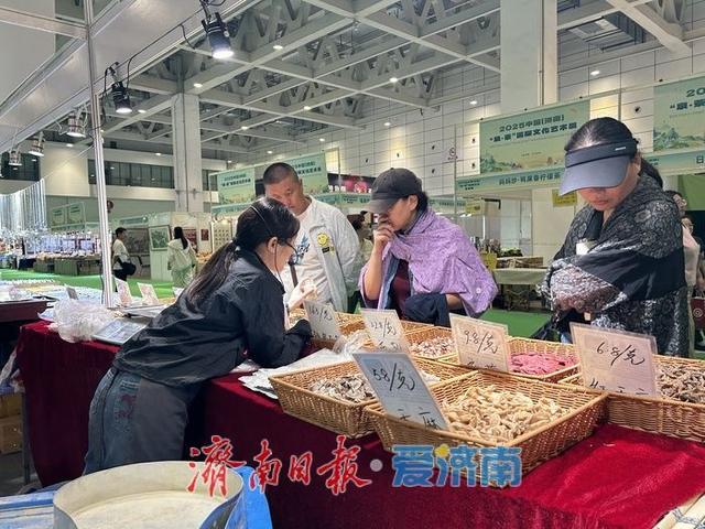 “泉・茶” 国际文化艺术周即将落幕 市民游客畅享茶香盛宴
