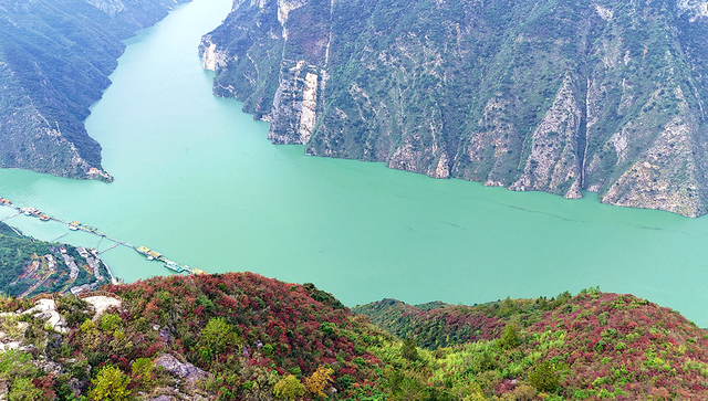 巫山：红叶漫山待客来