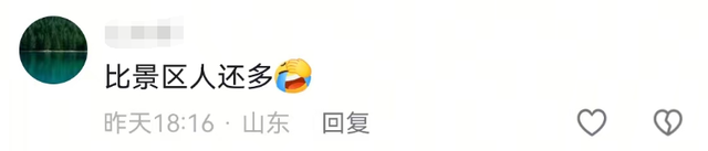 山东某高速服务区突然爆火！比景区的人还多！网友：原本只想来上个厕所，结果花出去500多，一进门我都蒙了