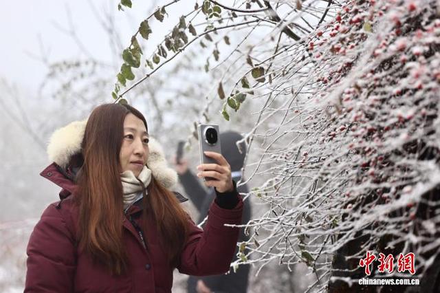 海外华媒领略四川海螺沟初冬之美