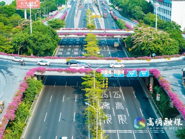 我宣布：高明的秋天开始了！